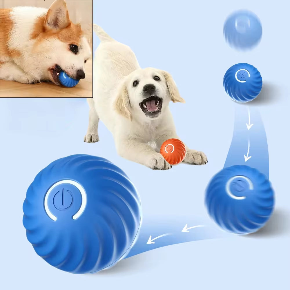 PawBounce: Interactive ball 